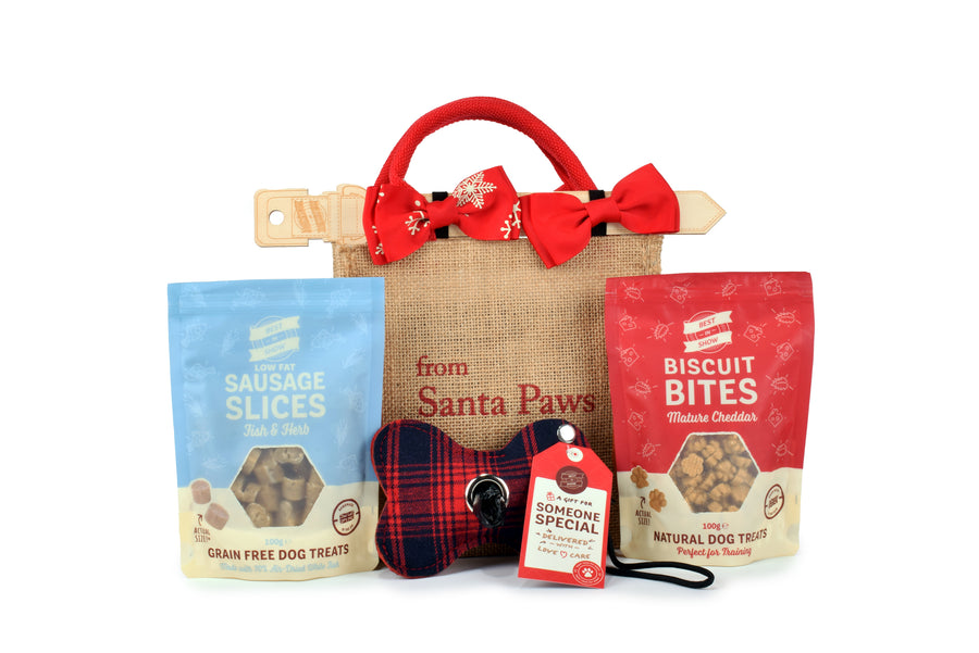 Best In Show Santa Paws Gift Bag